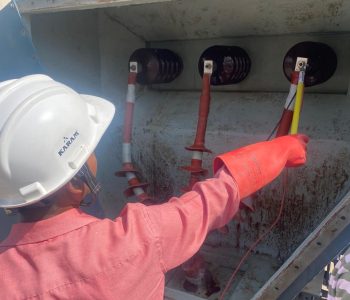 WhatsApp Image 2025-04-13 at 2.49.20 PM